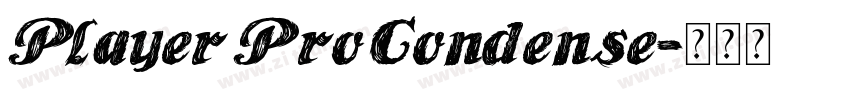 Player Pro Condense字体转换